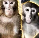 Justice For Alan And Larry