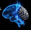 Brain Patch