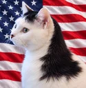 Americat