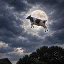 Moooner