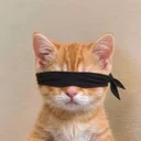 _____