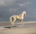 The Golden Horse