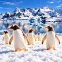 Save The Penguins