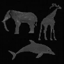Animal Intelligence