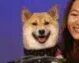 Nasdaq Dog