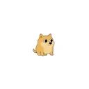 little dog coin