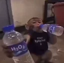 apewifH₂O