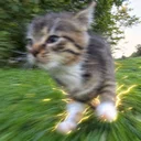 the runner
