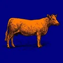 Meme Market Bull