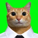 alpha