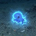 Blue Octo
