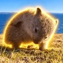 The Smol Wombat