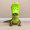 croc
