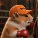 haMSTR