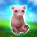 Bingus