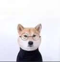 iNu