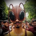 bhairoach