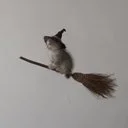 Broom Cat