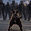 The Riot Dog