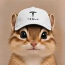 Chipmunk