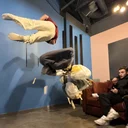 POP
