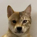 catdog