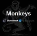 MONKEYS