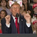 trump-chan