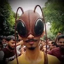 bhairoach