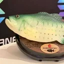 Big Mouth Billy Bass