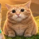 FatCat