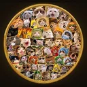 Cat Coin
