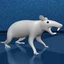 Scamper