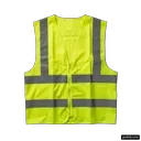 Yellow Vest Movement