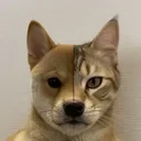 catdog
