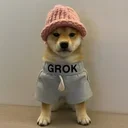 dogwifshorts