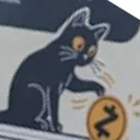 Anonymous Cat