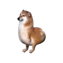 Slop Inu