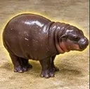 茄子だ