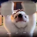 Rear Camera Rizo