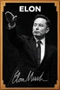 OFFICIAL MUSK