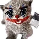 Retard Cat