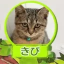 きび