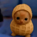 nut cat