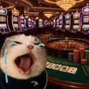 no crying in the casino