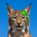 Neuralynx