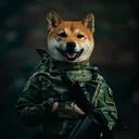 Wardog