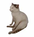 chooms