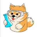 DogeCoin Labs