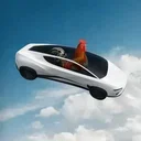 Flying Rooster